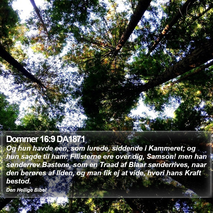 Dommer 16:9 DA1871 Bible Study