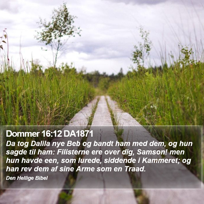 Dommer 16:12 DA1871 Bible Study