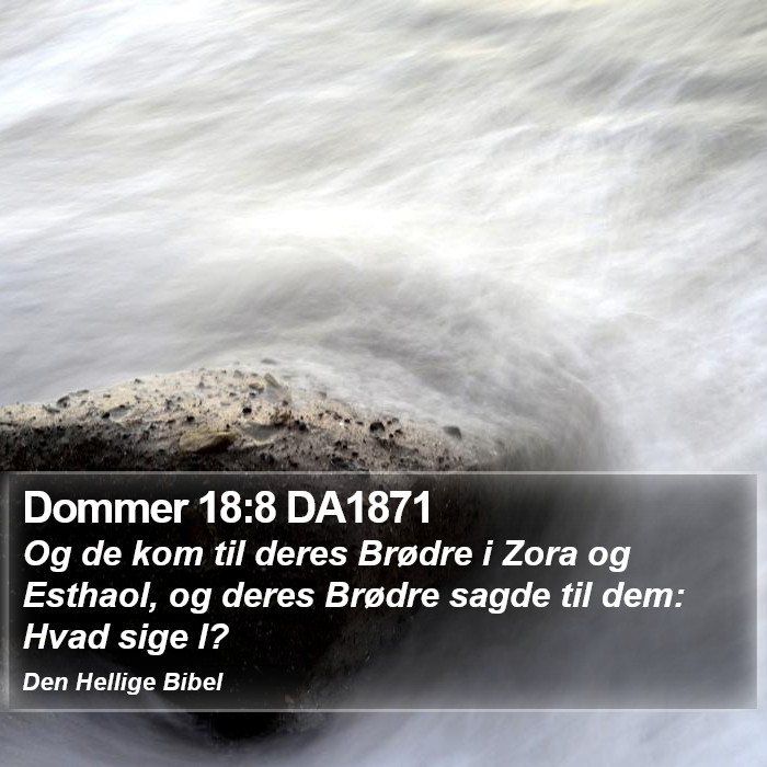 Dommer 18:8 DA1871 Bible Study