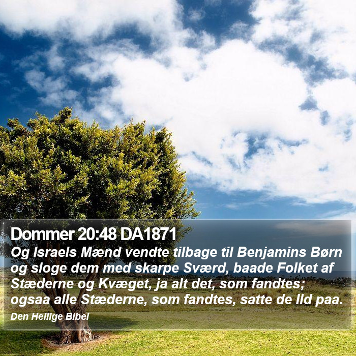 Dommer 20:48 DA1871 Bible Study