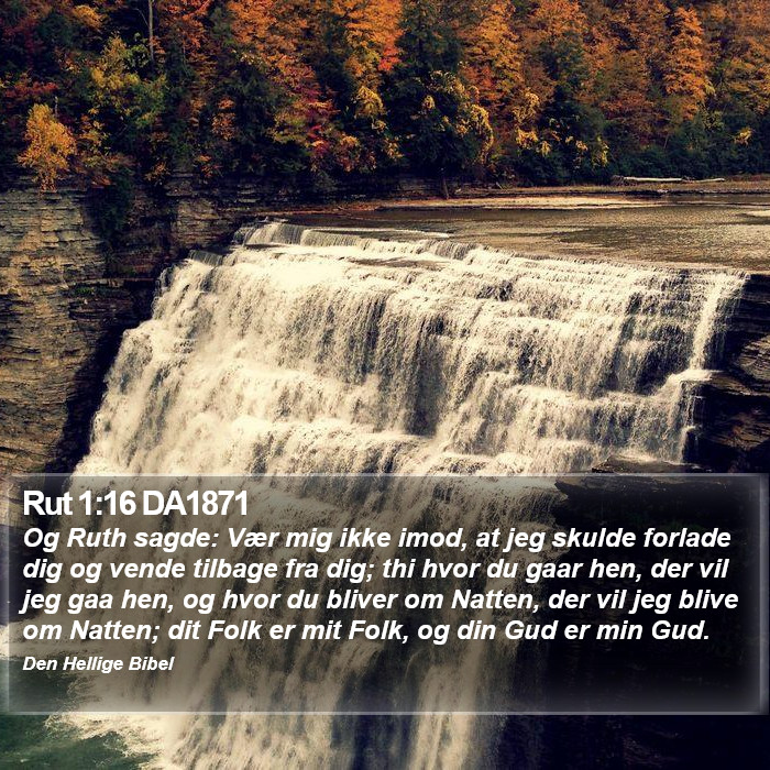 Rut 1:16 DA1871 Bible Study