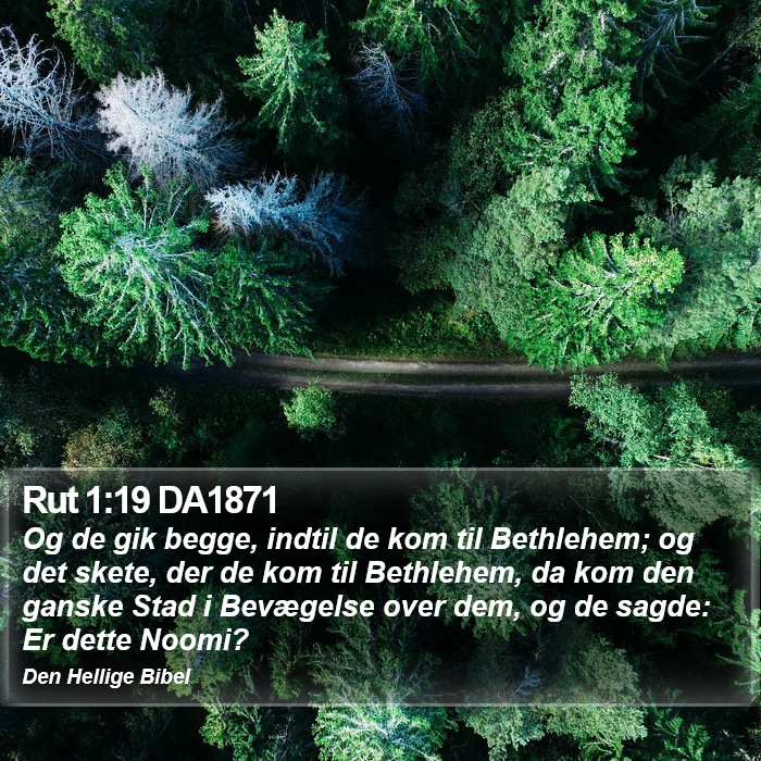 Rut 1:19 DA1871 Bible Study