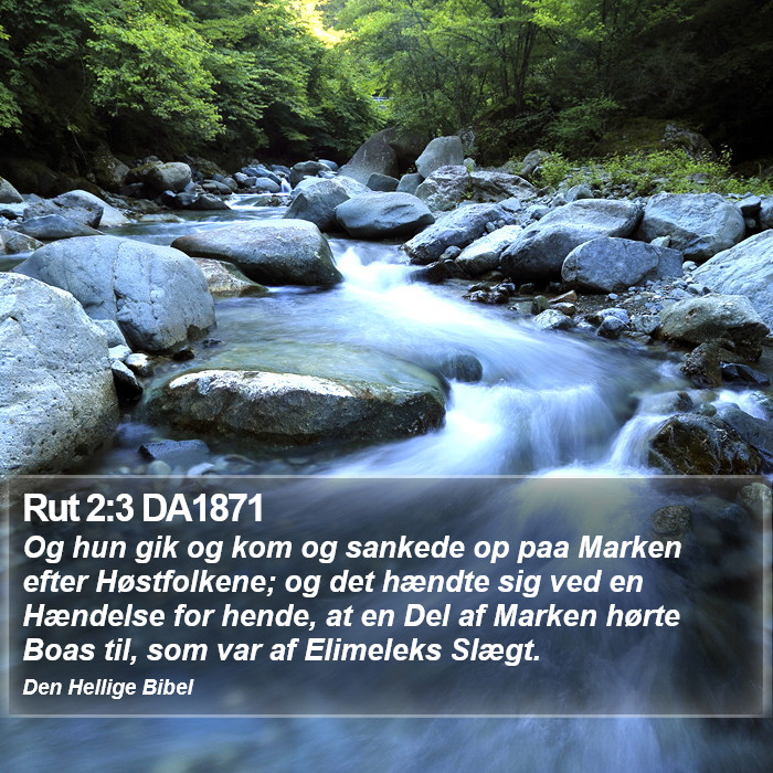 Rut 2:3 DA1871 Bible Study