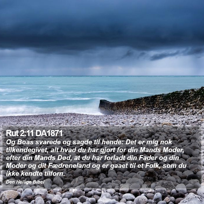 Rut 2:11 DA1871 Bible Study