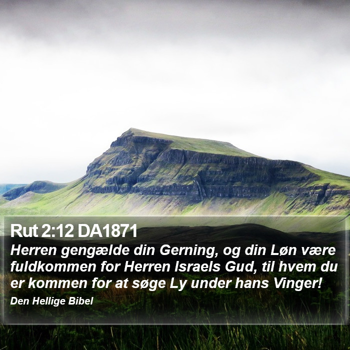 Rut 2:12 DA1871 Bible Study