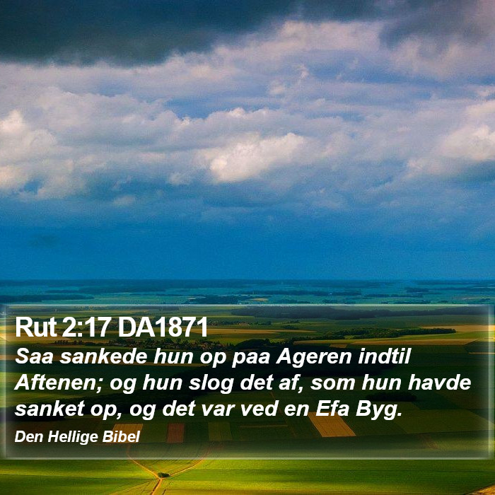 Rut 2:17 DA1871 Bible Study