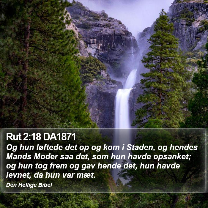 Rut 2:18 DA1871 Bible Study