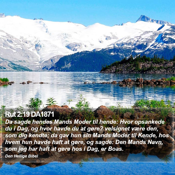 Rut 2:19 DA1871 Bible Study