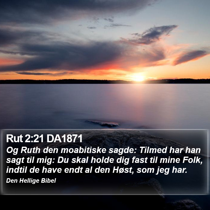 Rut 2:21 DA1871 Bible Study