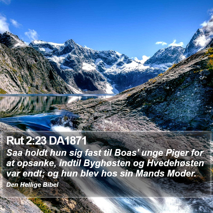 Rut 2:23 DA1871 Bible Study