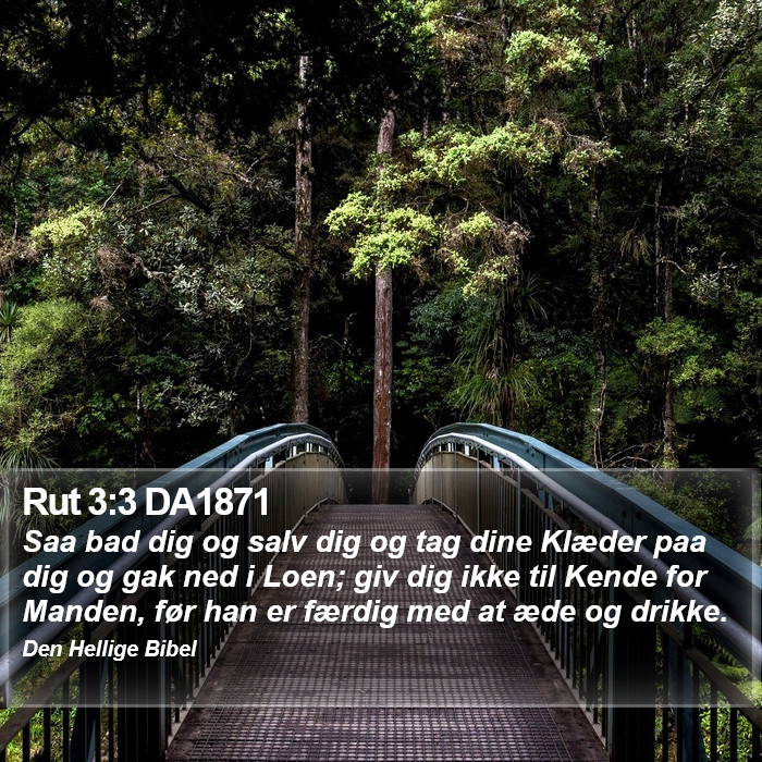 Rut 3:3 DA1871 Bible Study