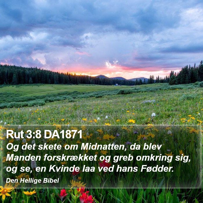 Rut 3:8 DA1871 Bible Study