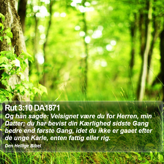 Rut 3:10 DA1871 Bible Study