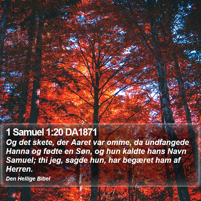 1 Samuel 1:20 DA1871 Bible Study