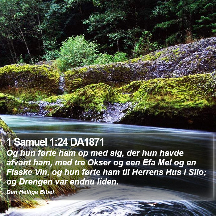 1 Samuel 1:24 DA1871 Bible Study