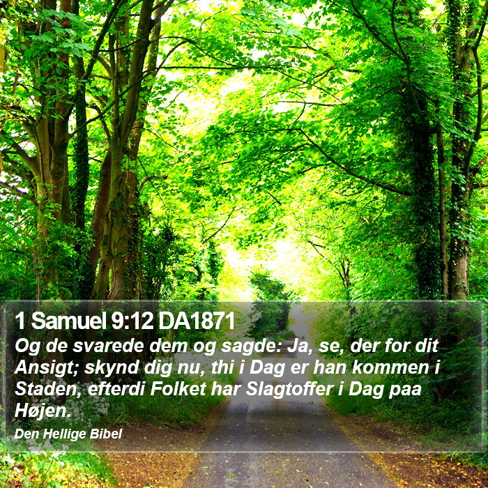 1 Samuel 9:12 DA1871 Bible Study