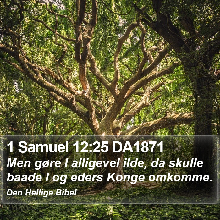 1 Samuel 12:25 DA1871 Bible Study