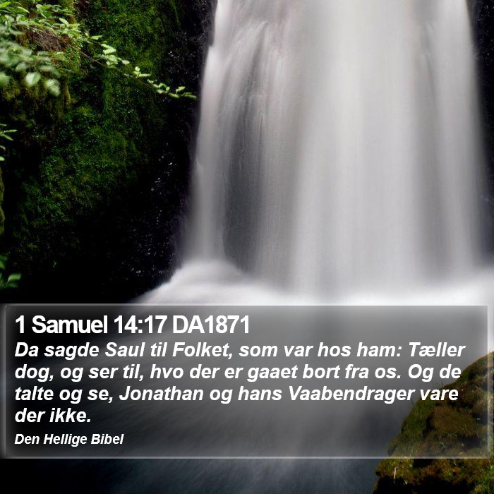 1 Samuel 14:17 DA1871 Bible Study