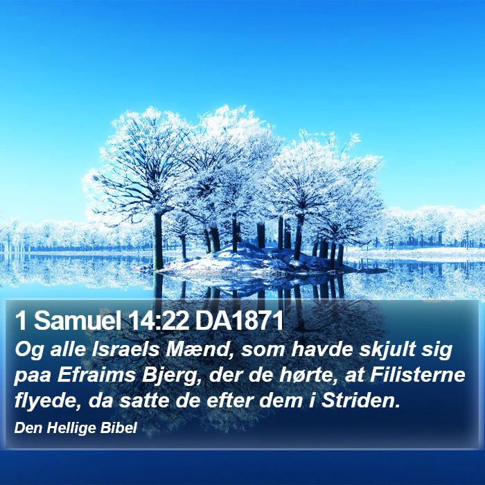 1 Samuel 14:22 DA1871 Bible Study