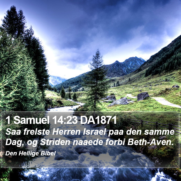 1 Samuel 14:23 DA1871 Bible Study