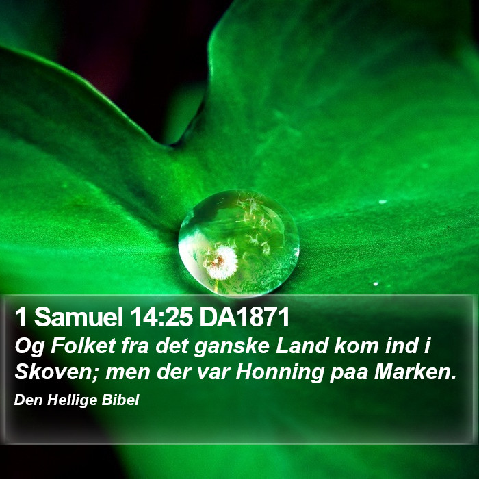 1 Samuel 14:25 DA1871 Bible Study