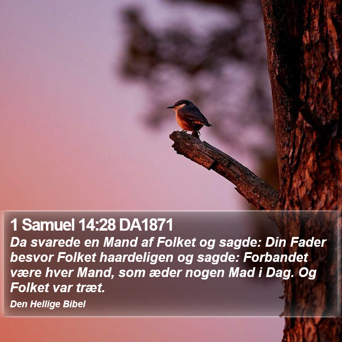 1 Samuel 14:28 DA1871 Bible Study