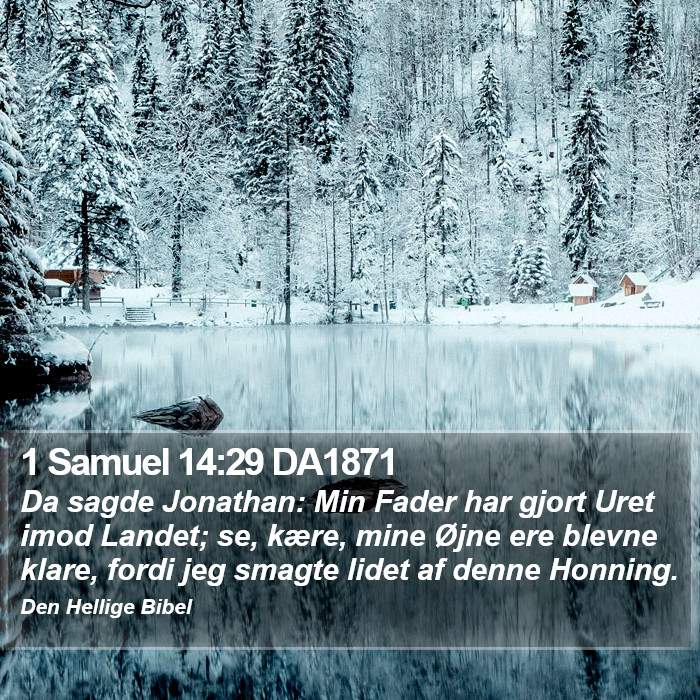 1 Samuel 14:29 DA1871 Bible Study