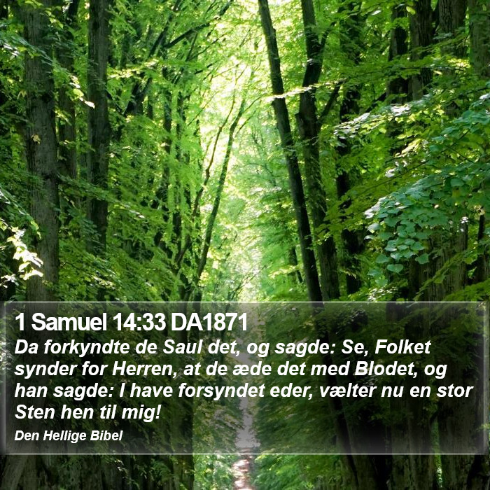1 Samuel 14:33 DA1871 Bible Study