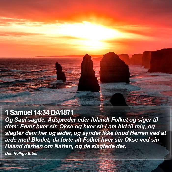 1 Samuel 14:34 DA1871 Bible Study