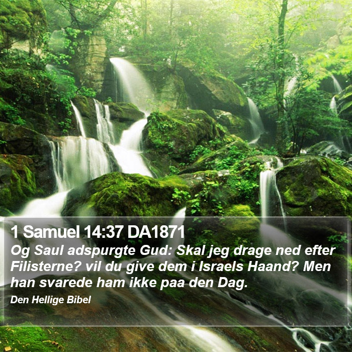 1 Samuel 14:37 DA1871 Bible Study