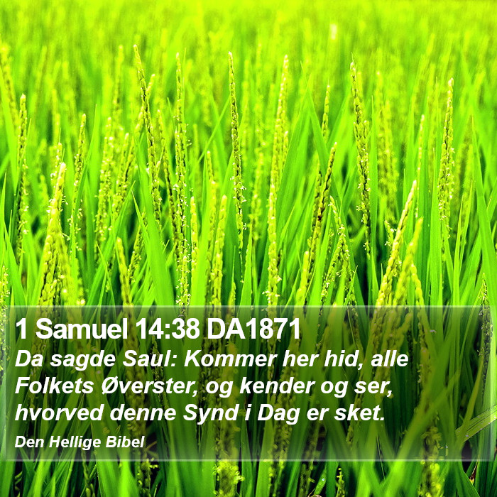 1 Samuel 14:38 DA1871 Bible Study