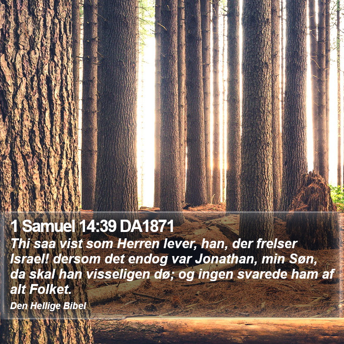 1 Samuel 14:39 DA1871 Bible Study