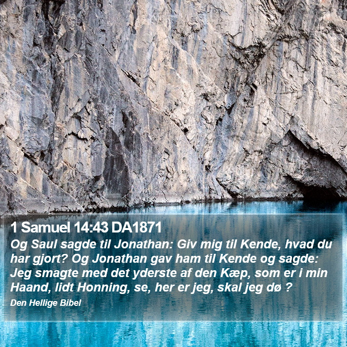 1 Samuel 14:43 DA1871 Bible Study