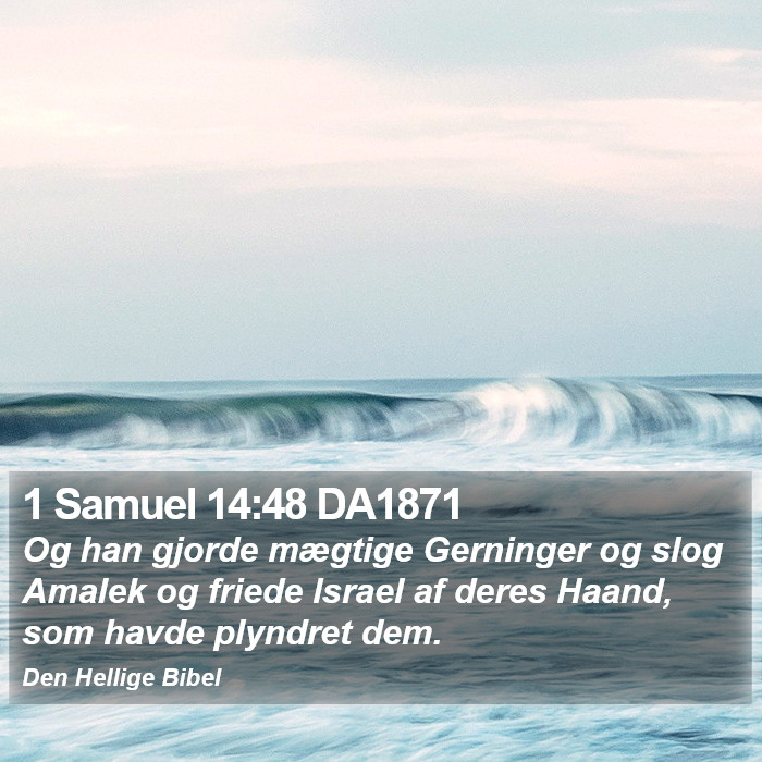 1 Samuel 14:48 DA1871 Bible Study