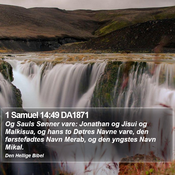 1 Samuel 14:49 DA1871 Bible Study