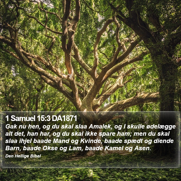 1 Samuel 15:3 DA1871 Bible Study