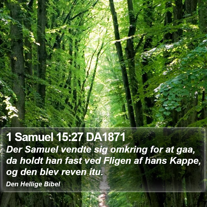 1 Samuel 15:27 DA1871 Bible Study