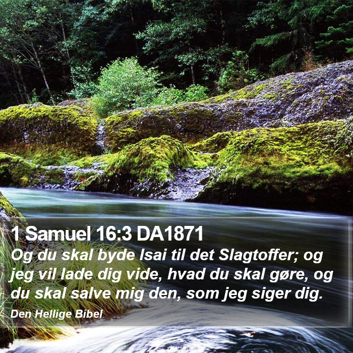 1 Samuel 16:3 DA1871 Bible Study