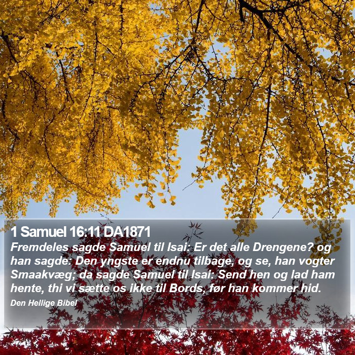 1 Samuel 16:11 DA1871 Bible Study