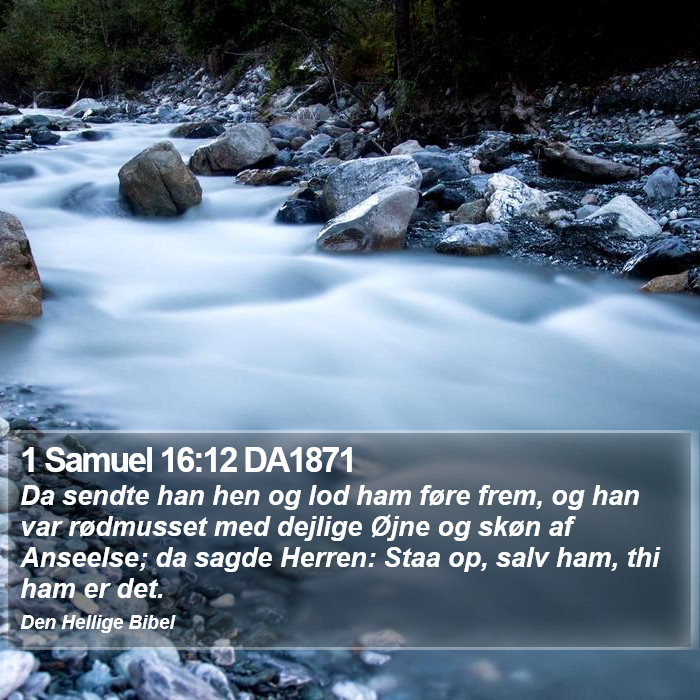 1 Samuel 16:12 DA1871 Bible Study