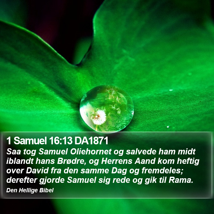 1 Samuel 16:13 DA1871 Bible Study