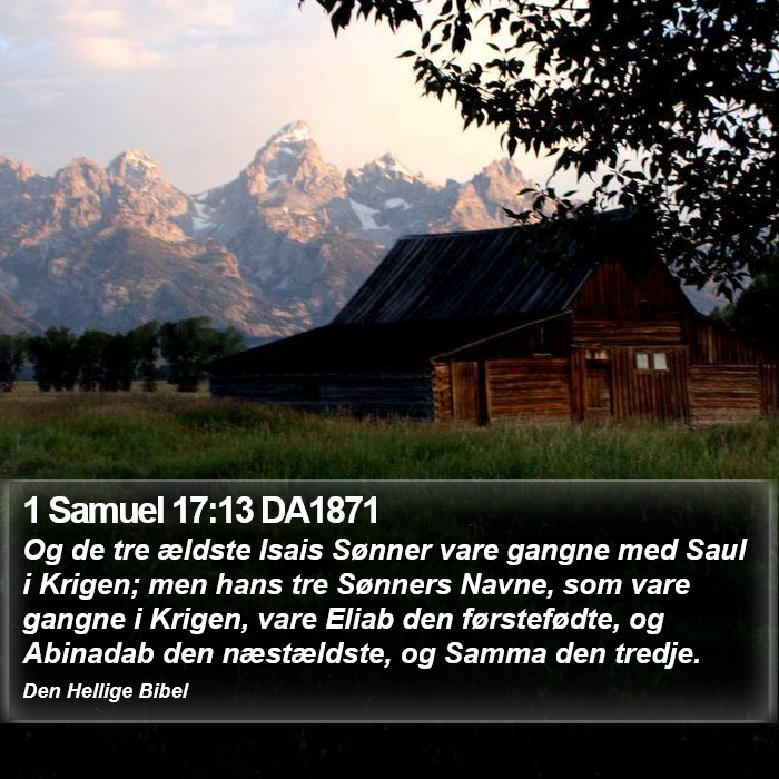 1 Samuel 17:13 DA1871 Bible Study