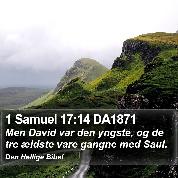 1 Samuel 17:14 DA1871 Bible Study