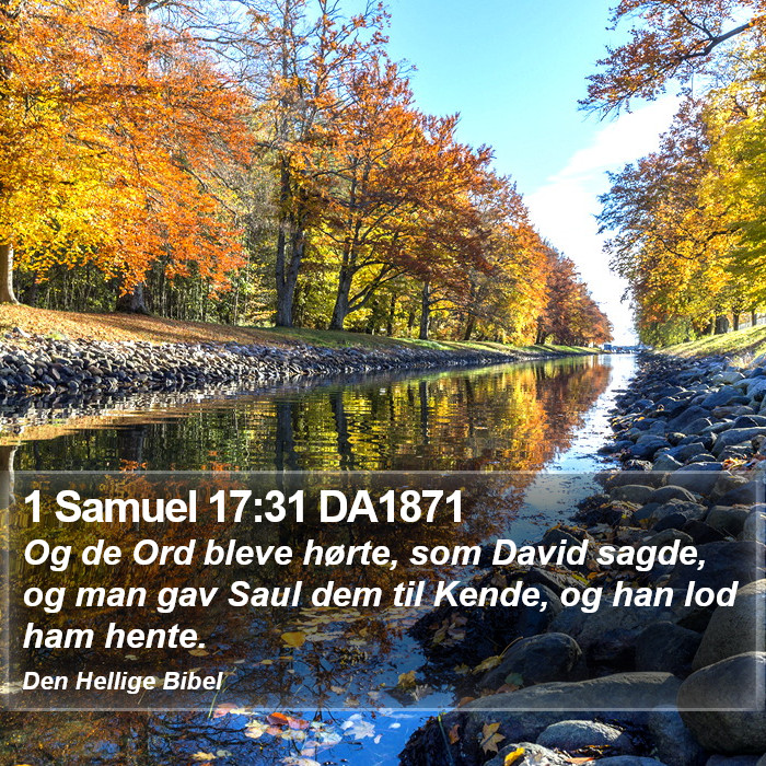 1 Samuel 17:31 DA1871 Bible Study