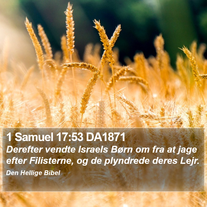 1 Samuel 17:53 DA1871 Bible Study