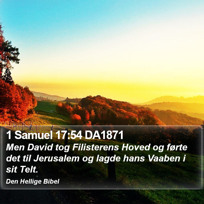 1 Samuel 17:54 DA1871 Bible Study