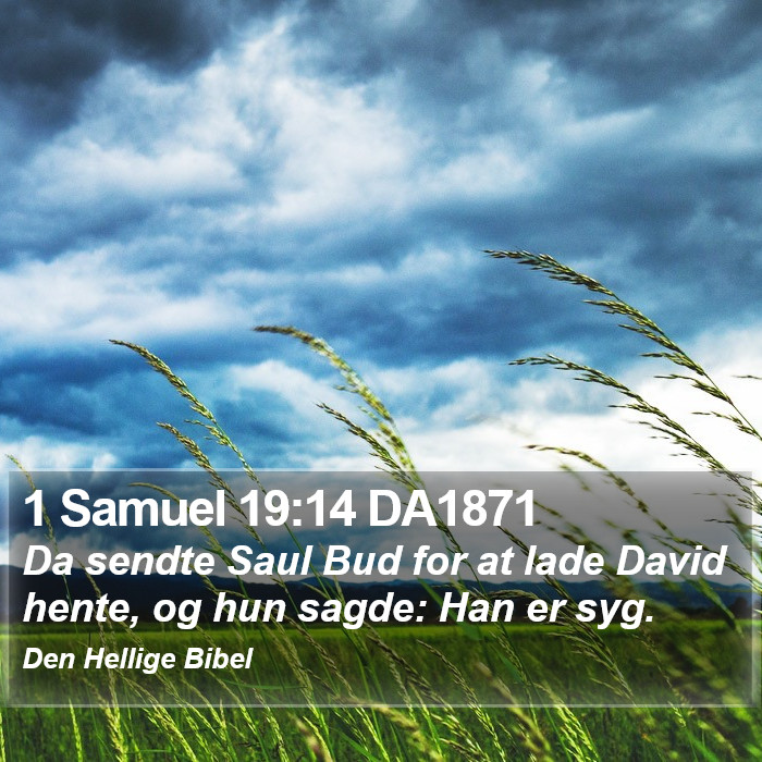 1 Samuel 19:14 DA1871 Bible Study