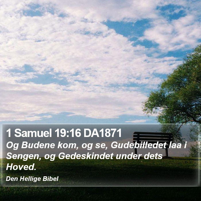 1 Samuel 19:16 DA1871 Bible Study