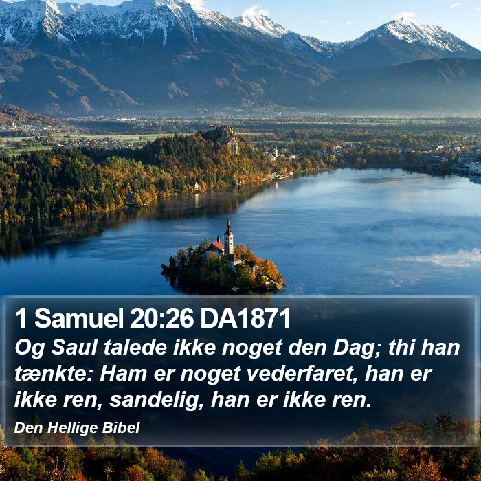 1 Samuel 20:26 DA1871 Bible Study