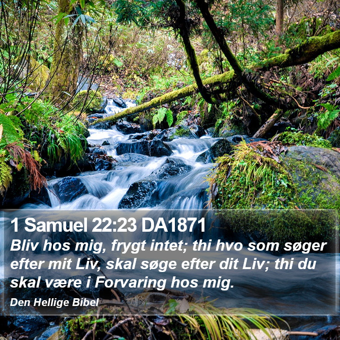 1 Samuel 22:23 DA1871 Bible Study